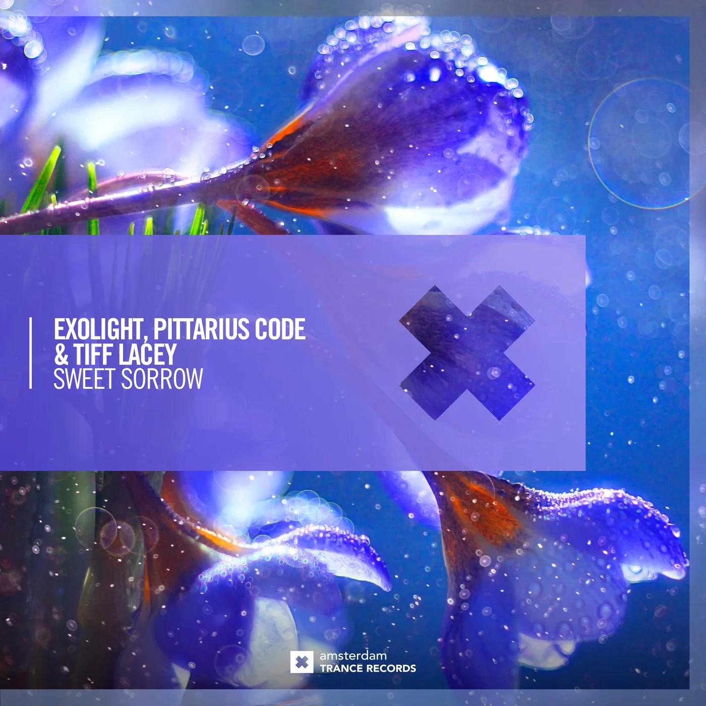 Exolight & PITTARIUS CODE & Tiff Lacey - Sweet Sorrow (Extended Mix)